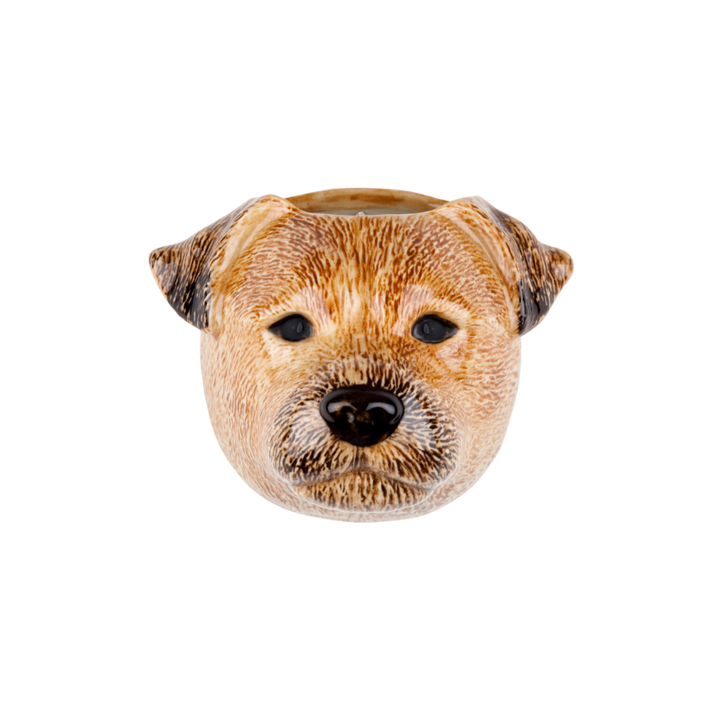 Veggvasi - Border terrier