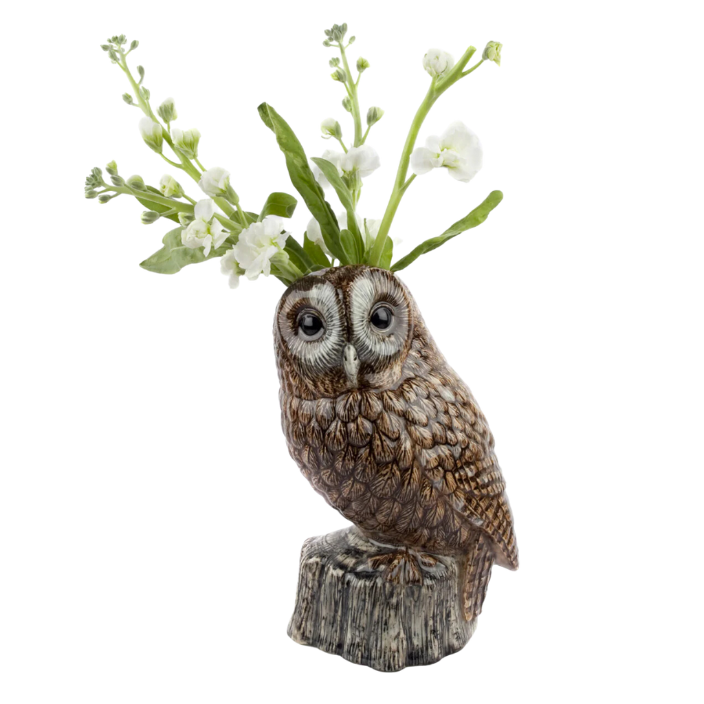 Blómavasi - Tawny owl