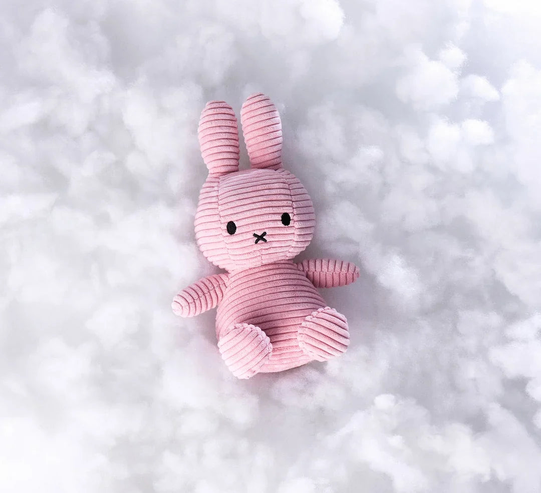 Bon Ton Toys