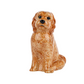 Blómavasi - Cockapoo apricot