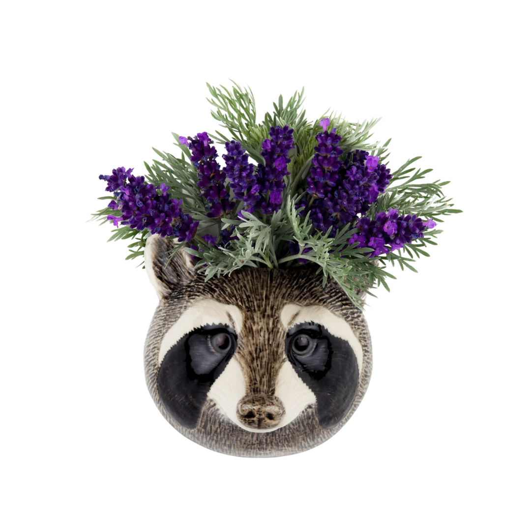 Veggvasi - Raccoon