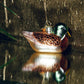 Jólaskraut - Duck