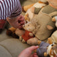 Mini Friends - Chris the Hedgehog