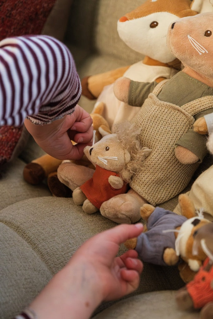 Mini Friends - Chris the Hedgehog