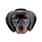 Veggvasi - Dachshund
