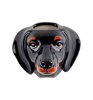 Veggvasi - Dachshund