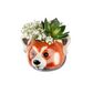 Veggvasi - Red panda