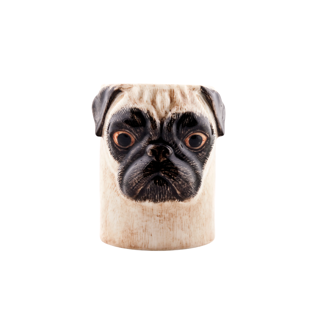 Ílát - Pug fawn