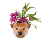 Veggvasi - Border terrier