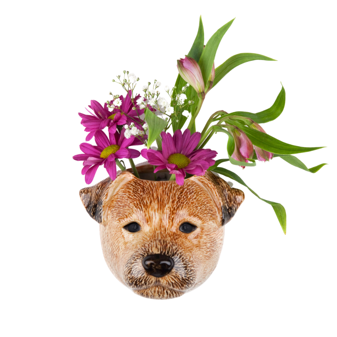 Veggvasi - Border terrier