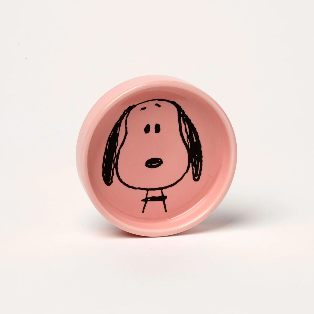 Snoopy pin dish - Visage