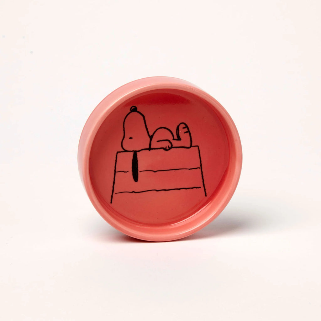 Snoopy pin dish - Home