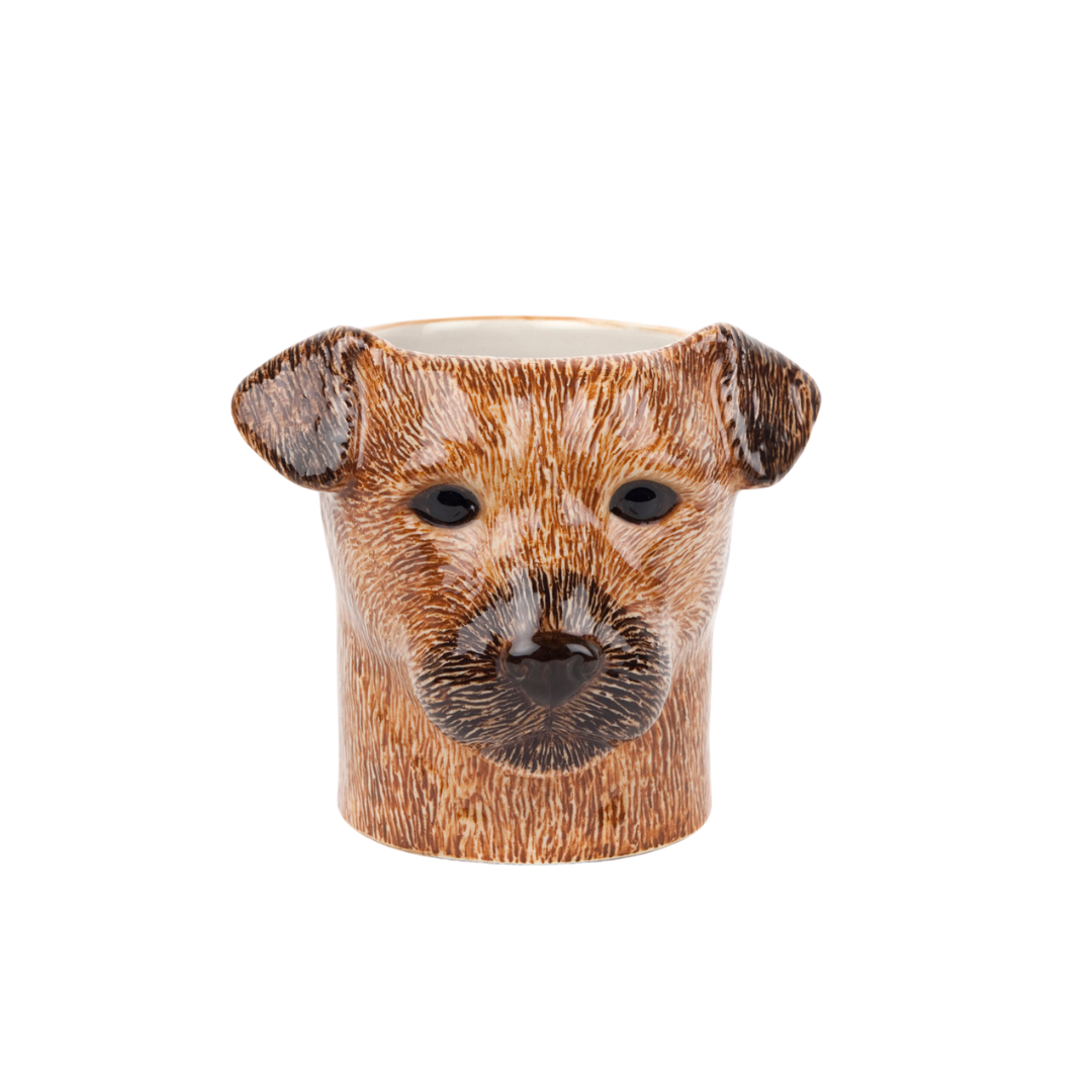 Ílát - Border terrier