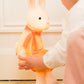 Lampi - Lenny the rabbit