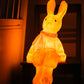 Lampi - Lenny the rabbit