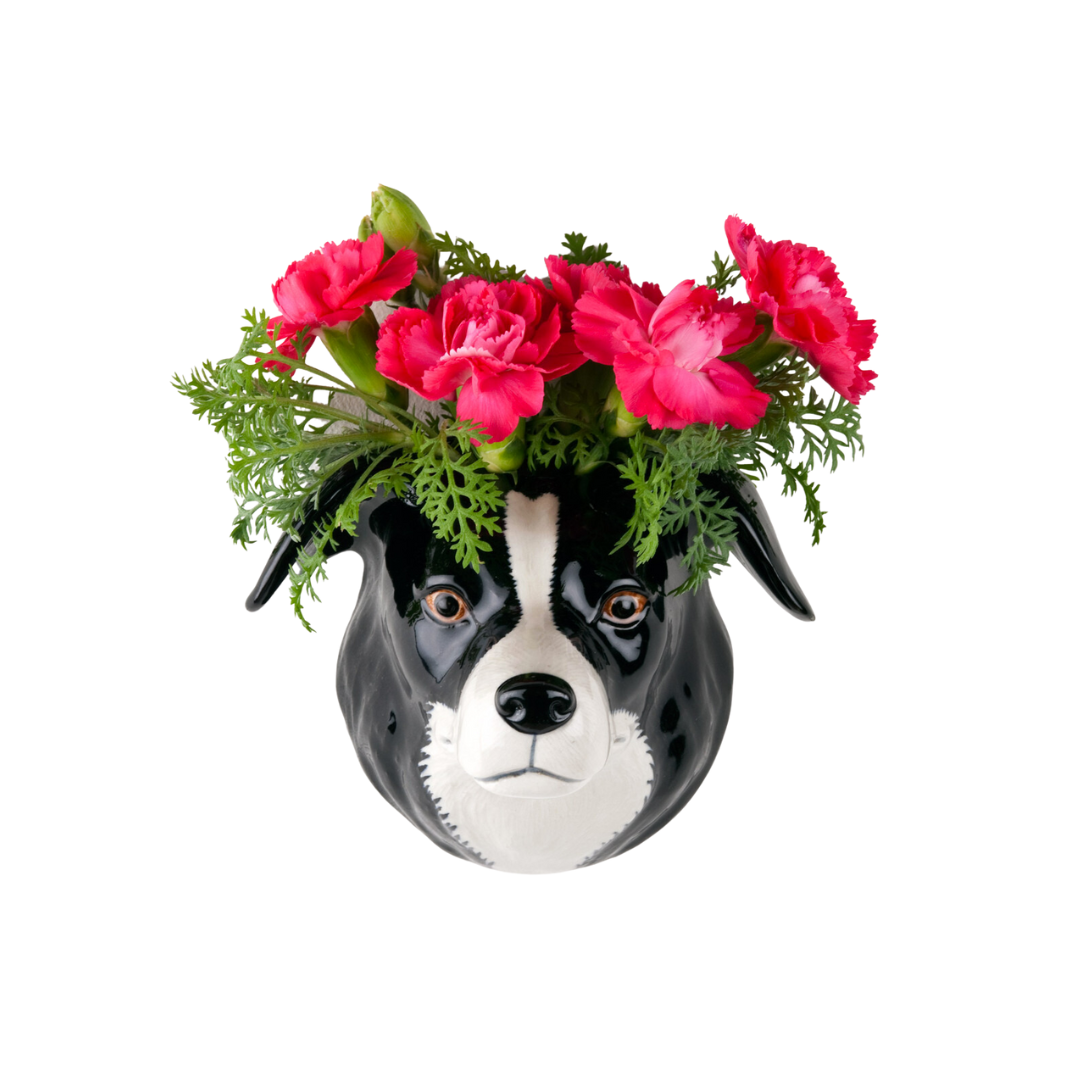 Veggvasi - Border collie