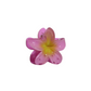 Hawaiian Flower Clip - Paradise Pink