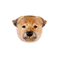 Veggvasi - Border terrier