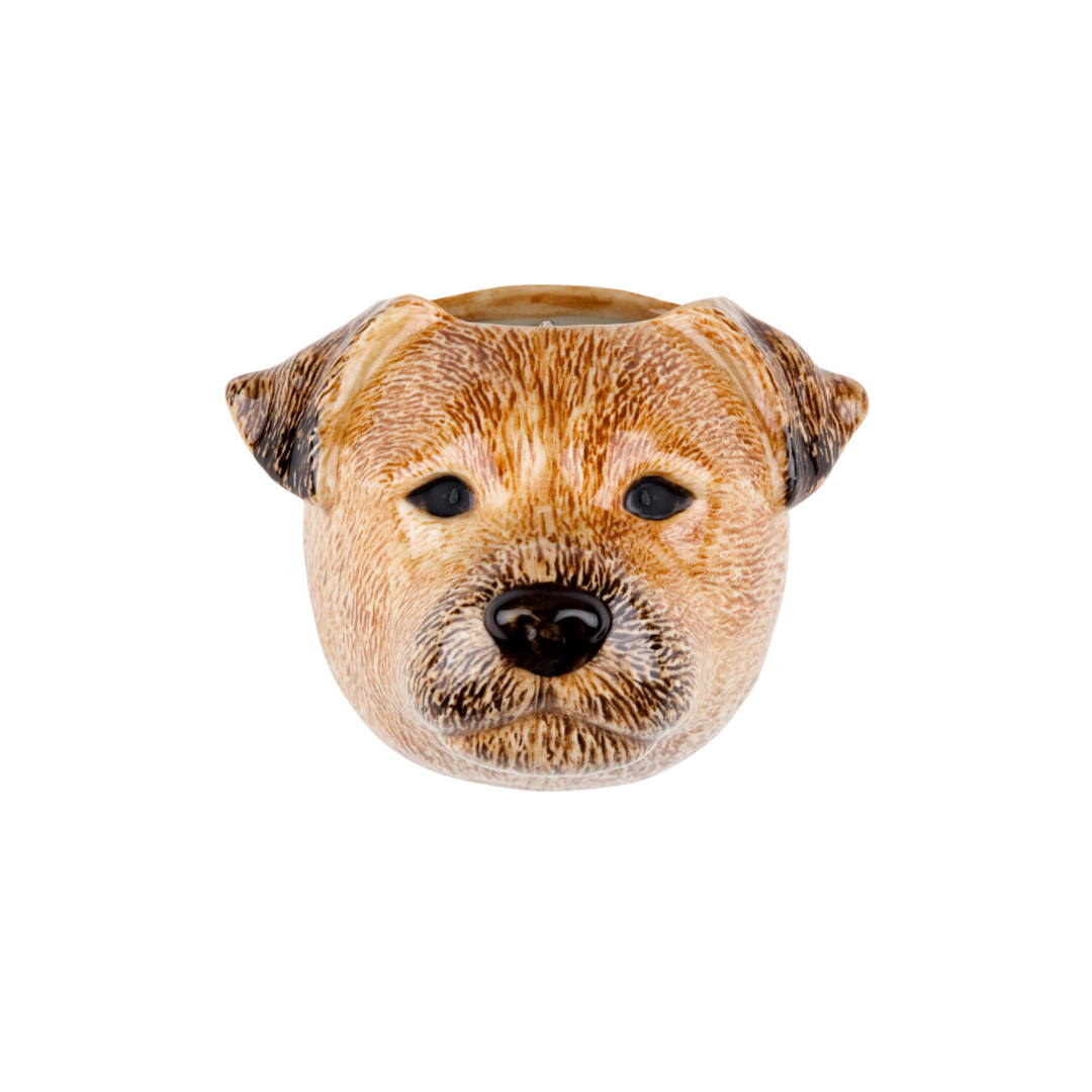 Veggvasi - Border terrier