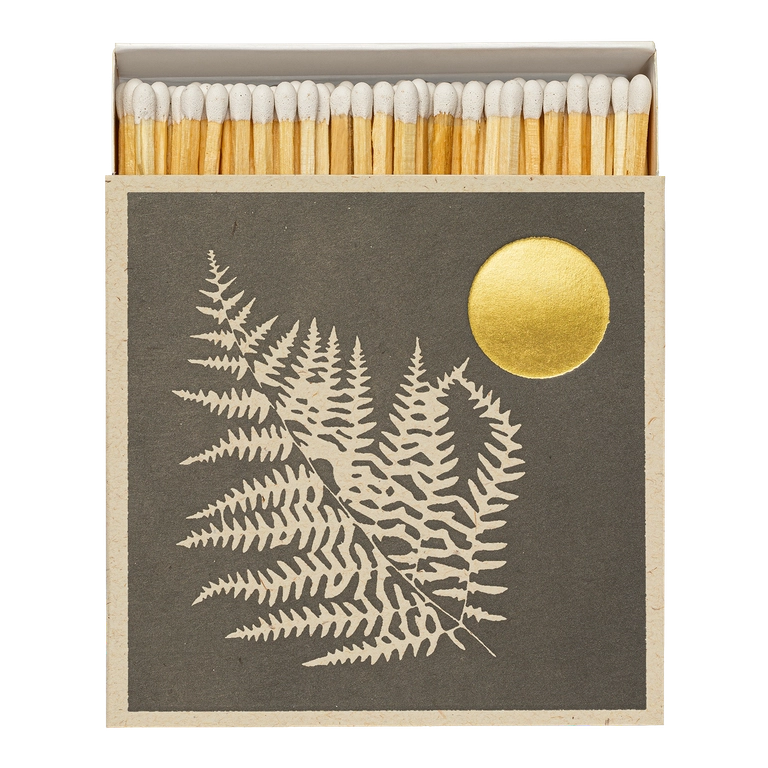 Eldspýtur - Fern