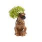 Blómavasi - Border terrier