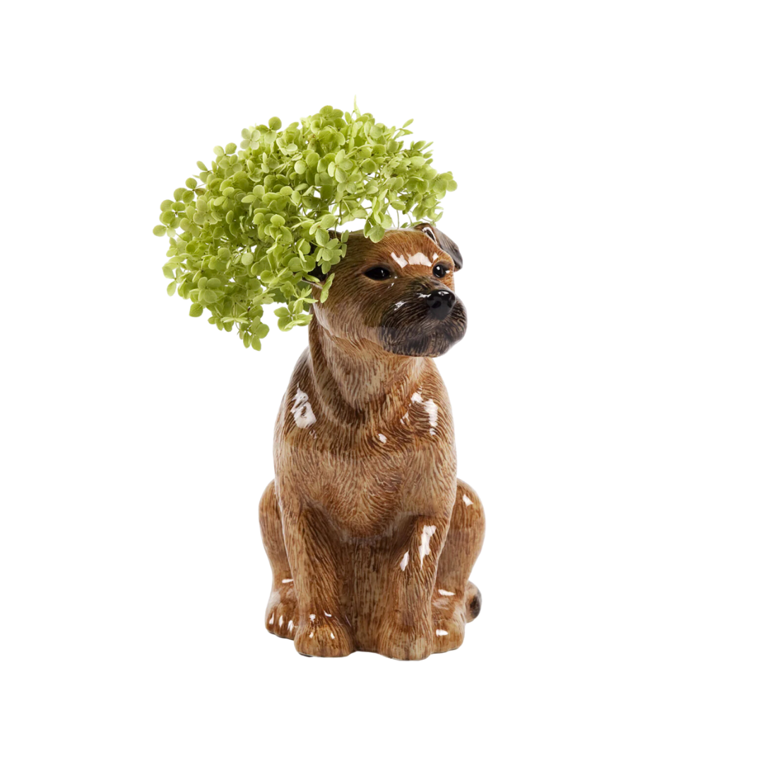 Blómavasi - Border terrier