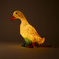 Lampi - Duck