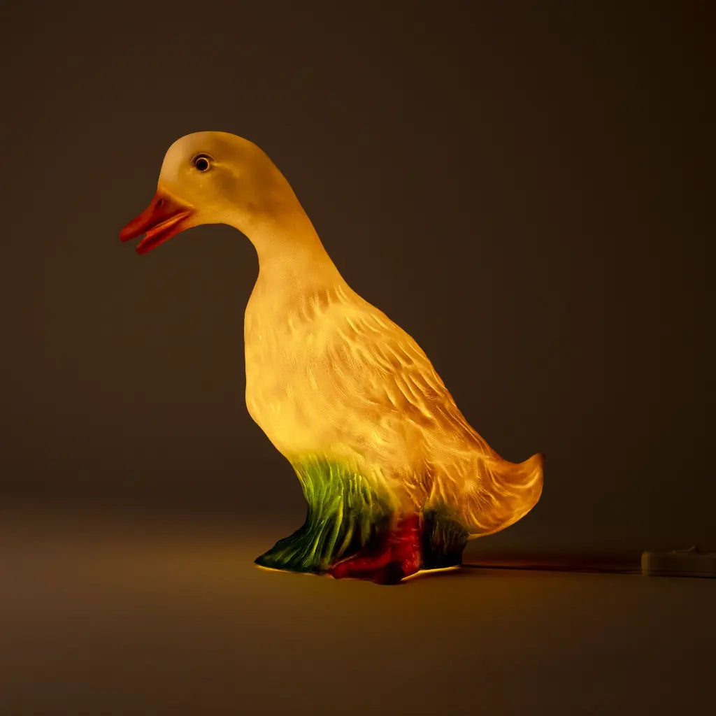 Lampi - Duck