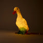 Lampi - Duck