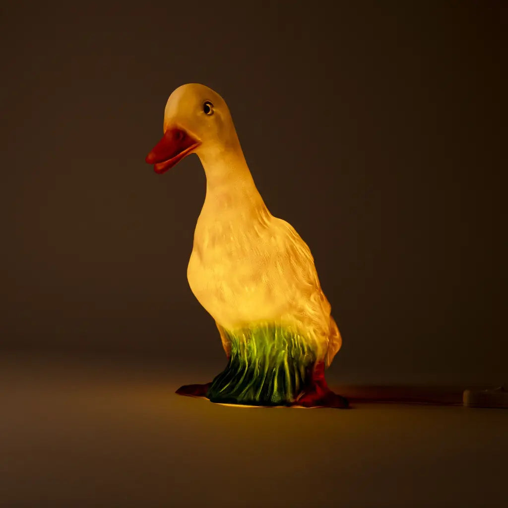Lampi - Duck