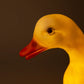 Lampi - Duck