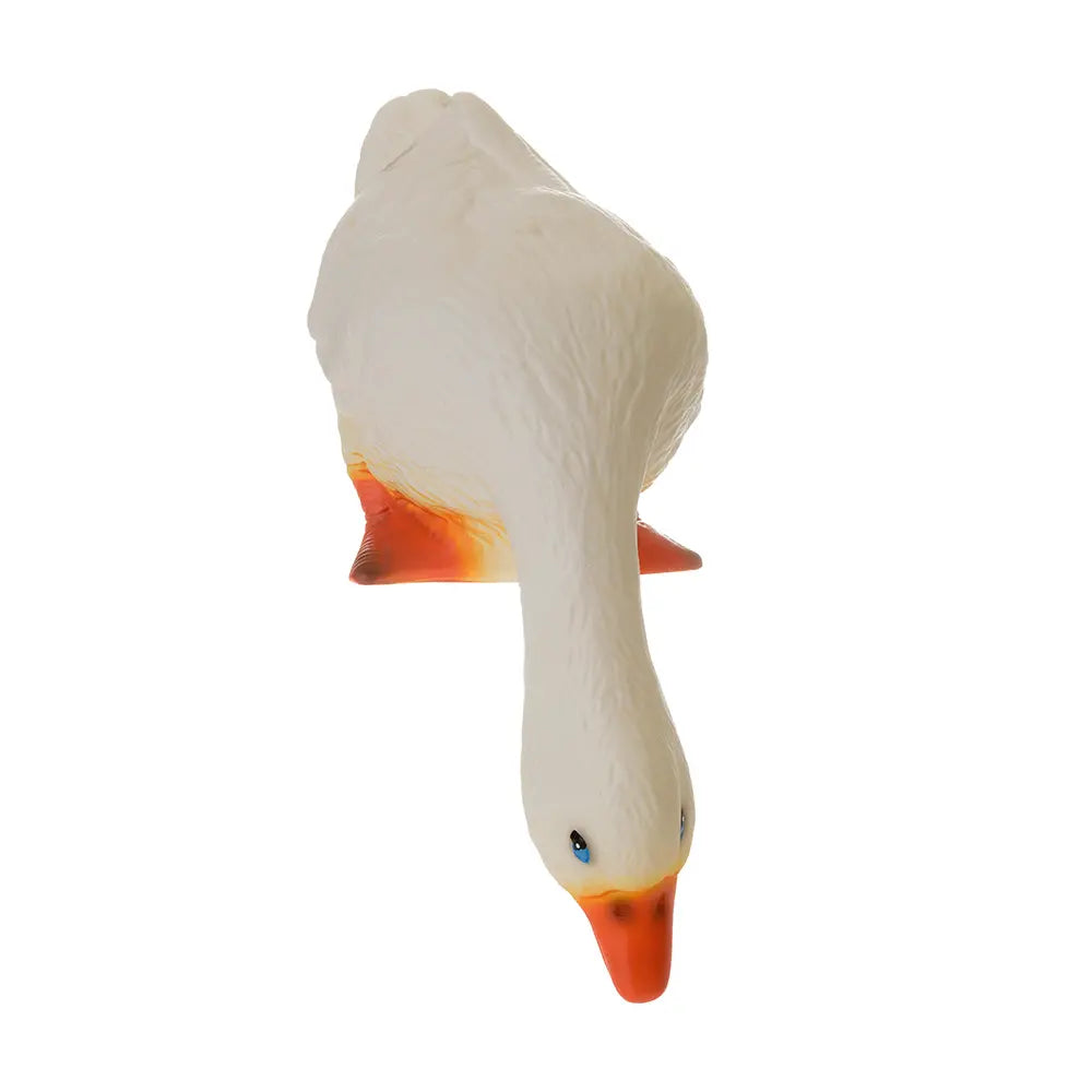 Lampi - Duck looking down