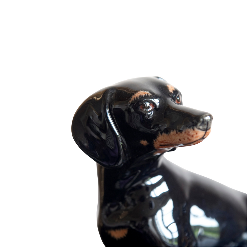 Sparibaukur - Dachshund