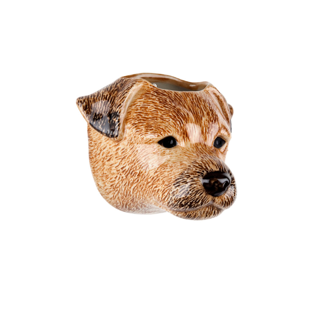 Veggvasi - Border terrier