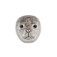 Veggvasi - Harbour seal
