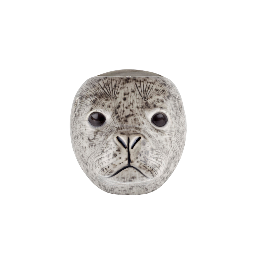 Veggvasi - Harbour seal