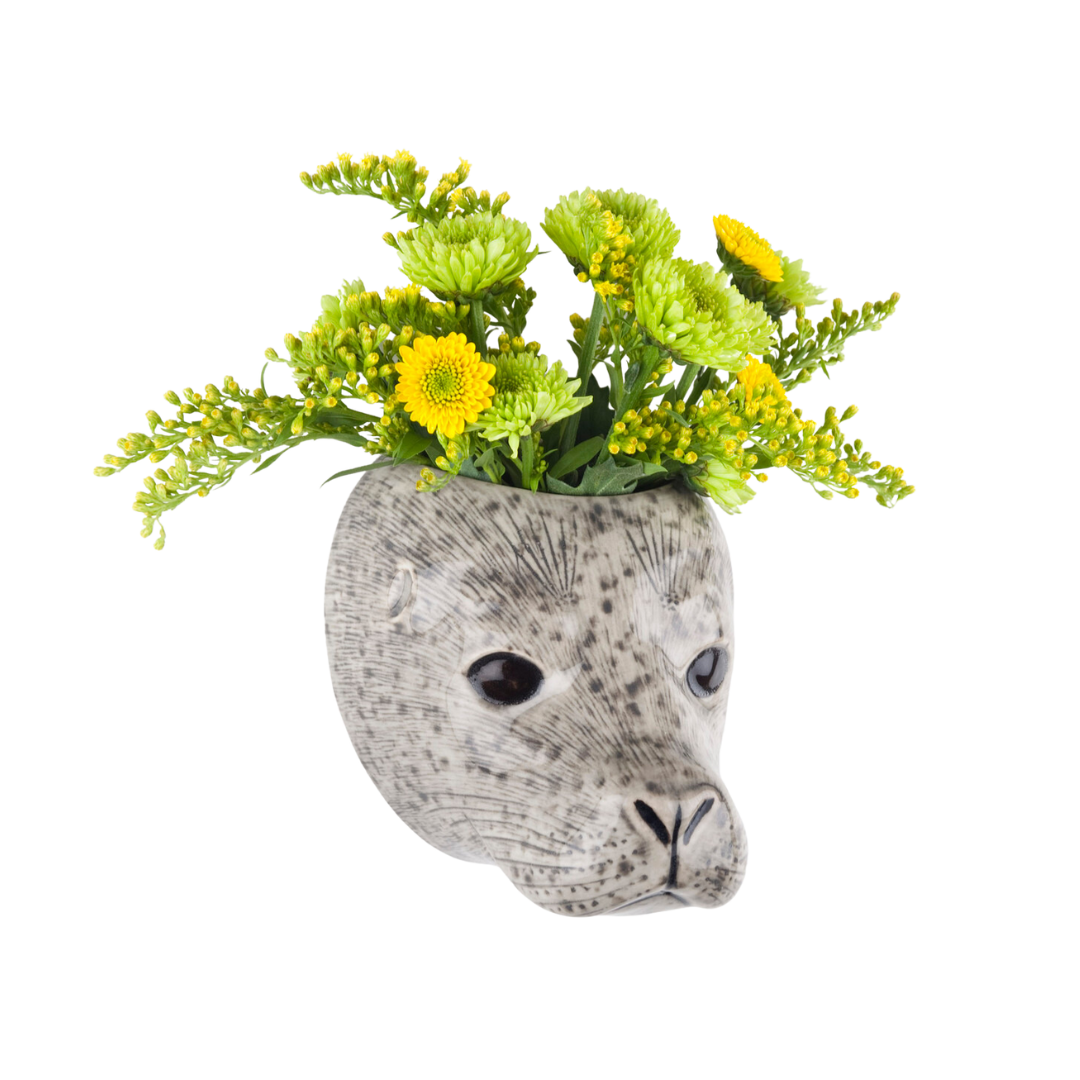 Veggvasi - Harbour seal