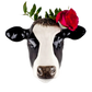 Veggvasi - Cow