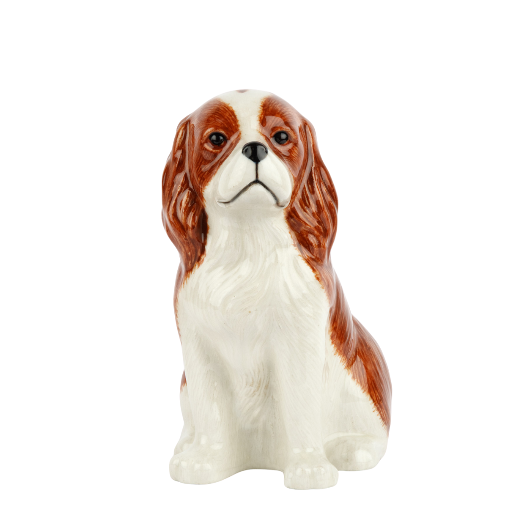 Blómavasi - Charles King Cavalier blenheim