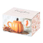 Bolli & sokkar - Pumpkin