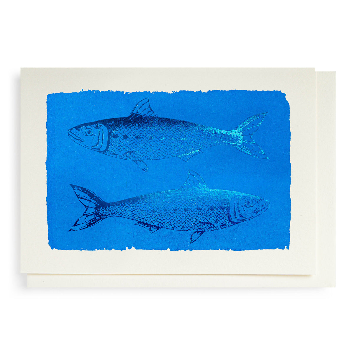 Kort - Sardines