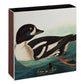 Eldspýtur - The Golden-eye Duck