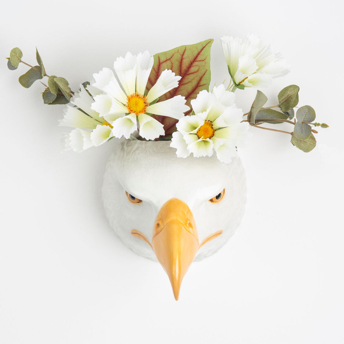 Veggvasi - Bald eagle