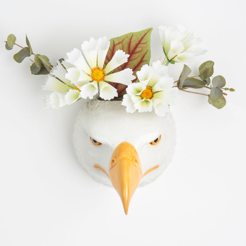 Veggvasi - Bald eagle