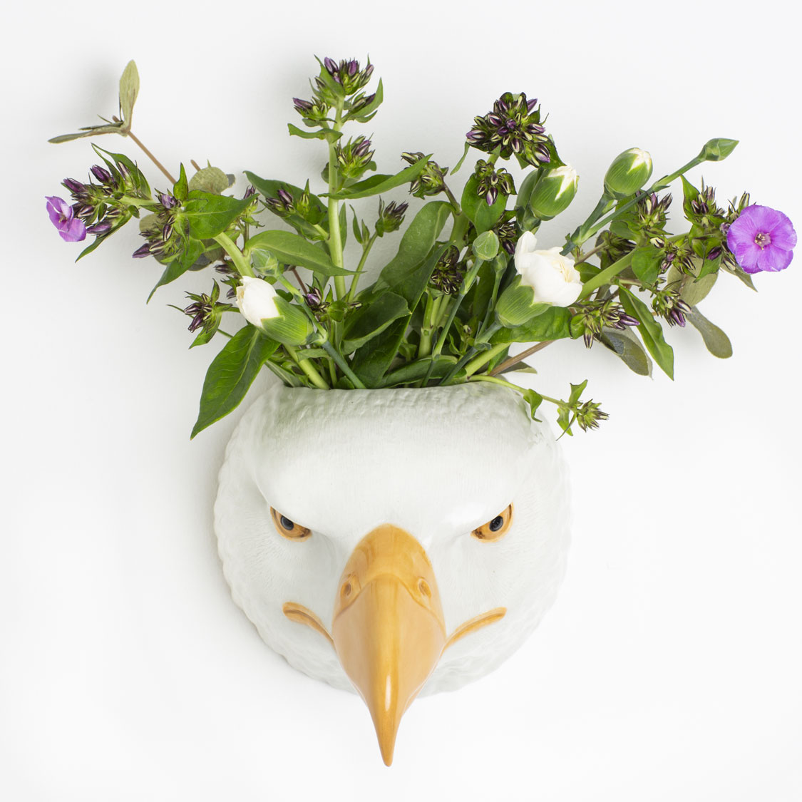 Veggvasi - Bald eagle