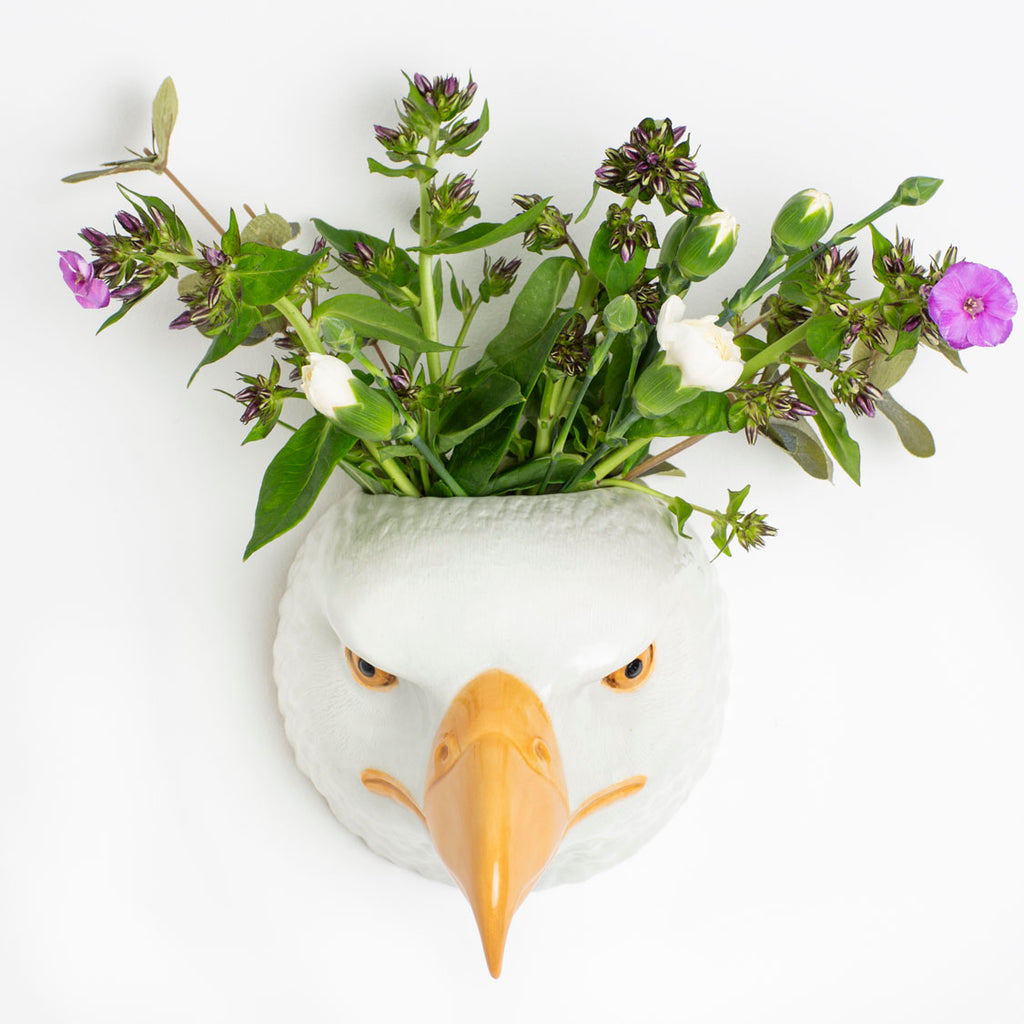 Veggvasi - Bald eagle