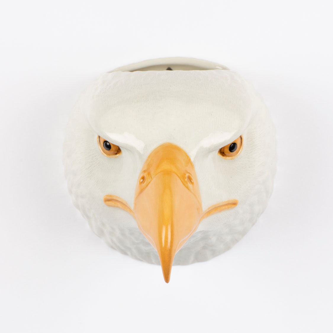 Veggvasi - Bald eagle