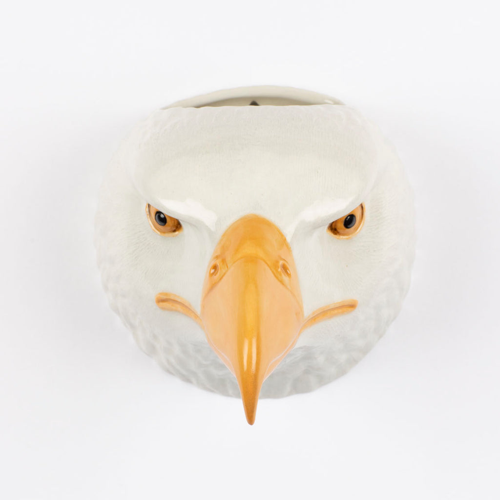 Veggvasi - Bald eagle