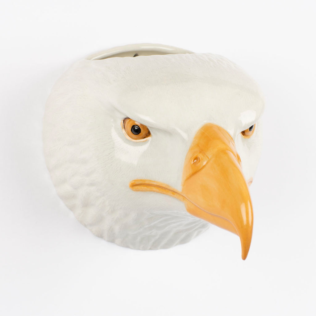 Veggvasi - Bald eagle