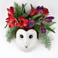 Veggvasi - Barn owl